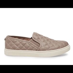 Steve Madden Slip on sneakers in taupe